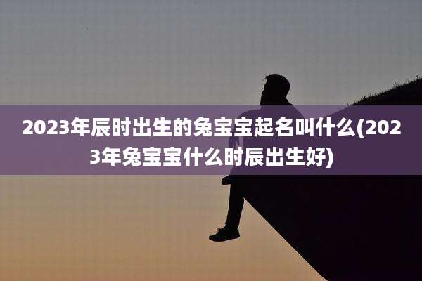 2023年辰时出生的兔宝宝起名叫什么(2023年兔宝宝什么时辰出生好)