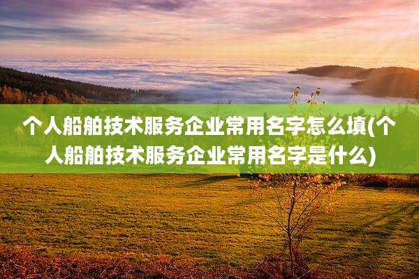 个人船舶技术服务企业常用名字怎么填(个人船舶技术服务企业常用名字是什么)