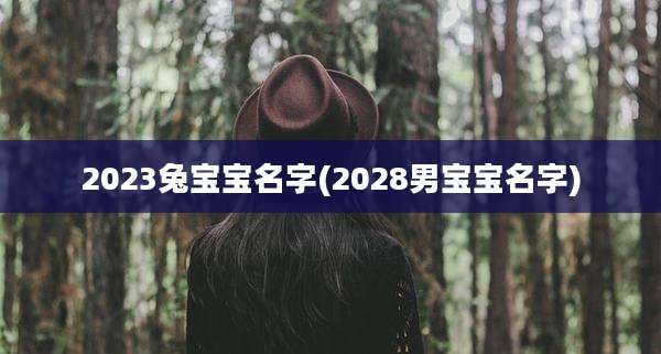 2023兔宝宝名字(2028男宝宝名字)