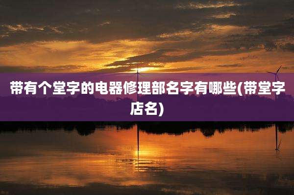 带有个堂字的电器修理部名字有哪些(带堂字店名)