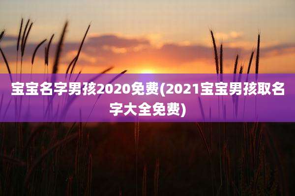 宝宝名字男孩2020免费(2021宝宝男孩取名字大全免费)