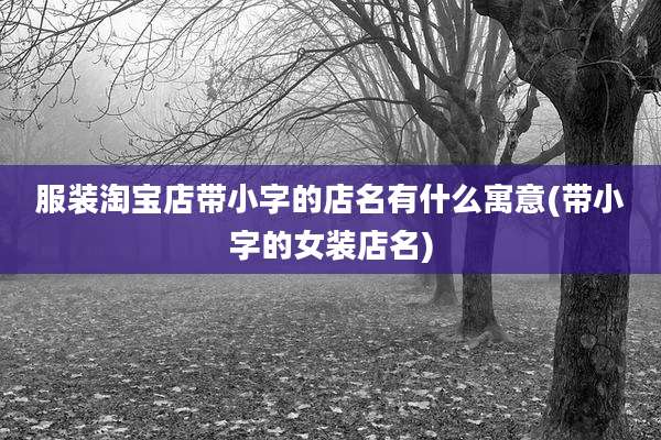 服装淘宝店带小字的店名有什么寓意(带小字的女装店名)