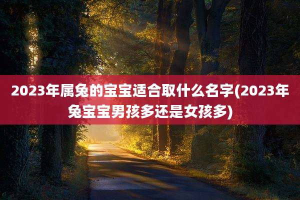 2023年属兔的宝宝适合取什么名字(2023年兔宝宝男孩多还是女孩多)