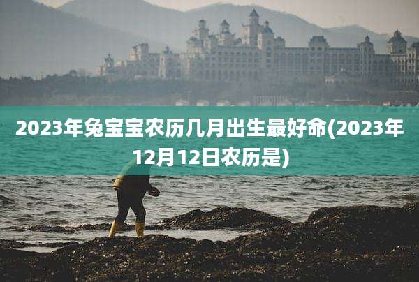 2023年兔宝宝农历几月出生最好命(2023年12月12日农历是)