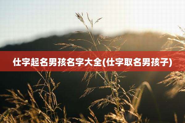 仕字起名男孩名字大全(仕字取名男孩子)