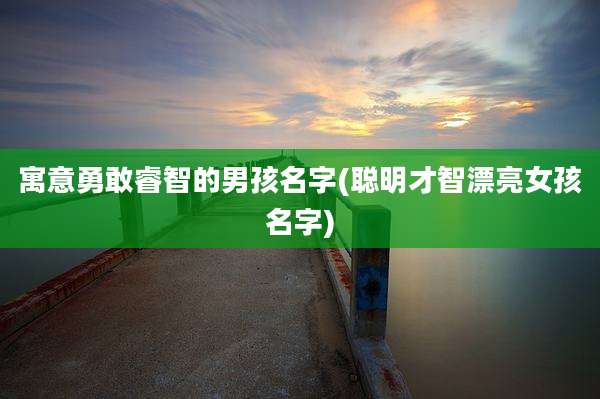 寓意勇敢睿智的男孩名字(聪明才智漂亮女孩名字)
