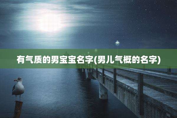 有气质的男宝宝名字(男儿气概的名字)