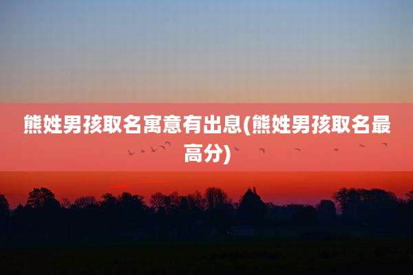 熊姓男孩取名寓意有出息(熊姓男孩取名最高分)