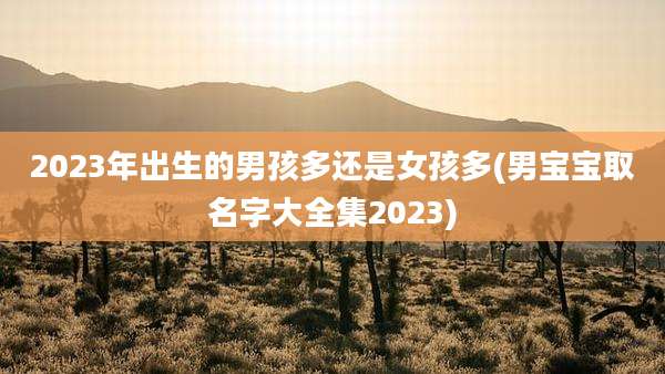 2023年出生的男孩多还是女孩多(男宝宝取名字大全集2023)