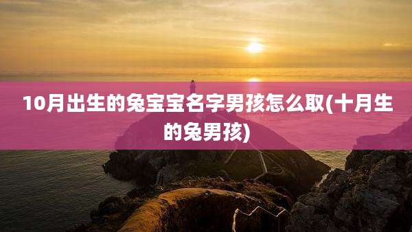 10月出生的兔宝宝名字男孩怎么取(十月生的兔男孩)