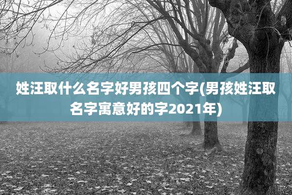 姓汪取什么名字好男孩四个字(男孩姓汪取名字寓意好的字2021年)