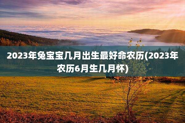 2023年兔宝宝几月出生最好命农历(2023年农历6月生几月怀)