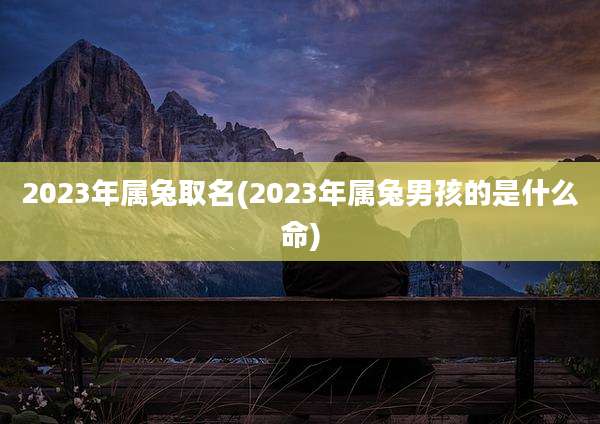 2023年属兔取名(2023年属兔男孩的是什么命)