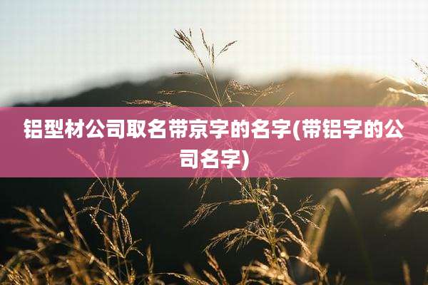 铝型材公司取名带京字的名字(带铝字的公司名字)