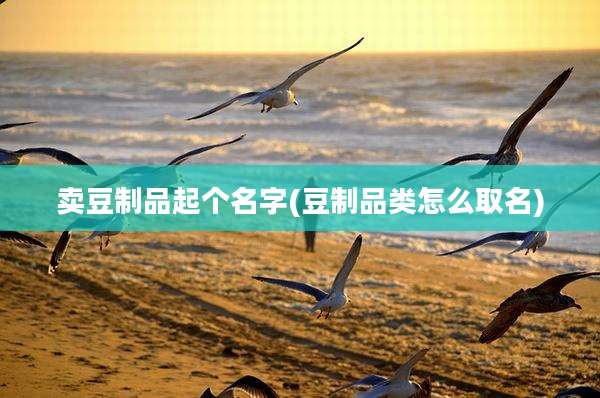 卖豆制品起个名字(豆制品类怎么取名)
