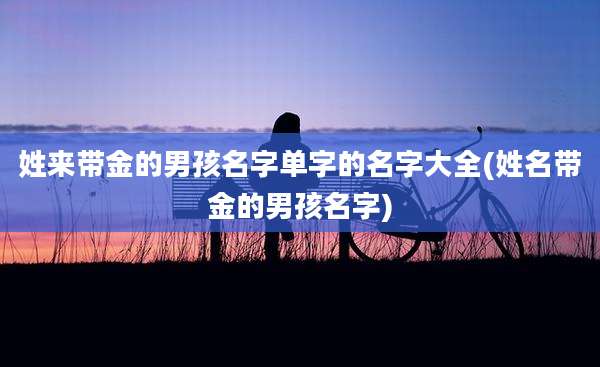 姓来带金的男孩名字单字的名字大全(姓名带金的男孩名字)