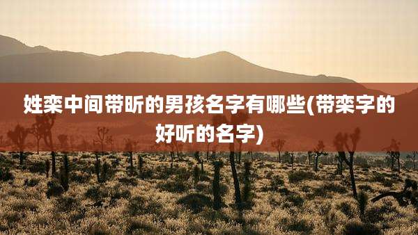 姓栾中间带昕的男孩名字有哪些(带栾字的好听的名字)