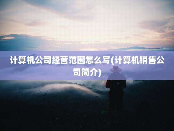 计算机公司经营范围怎么写(计算机销售公司简介)