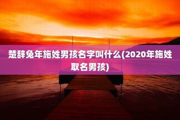 楚辞兔年施姓男孩名字叫什么(2020年施姓取名男孩)
