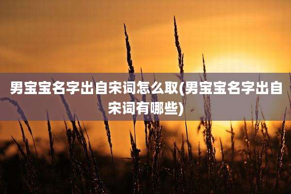 男宝宝名字出自宋词怎么取(男宝宝名字出自宋词有哪些)