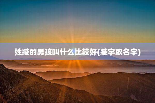姓臧的男孩叫什么比较好(臧字取名字)