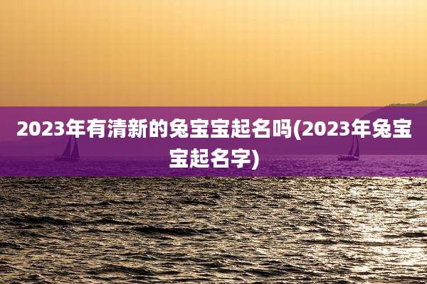 2023年有清新的兔宝宝起名吗(2023年兔宝宝起名字)