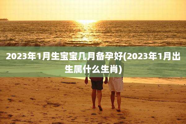 2023年1月生宝宝几月备孕好(2023年1月出生属什么生肖)