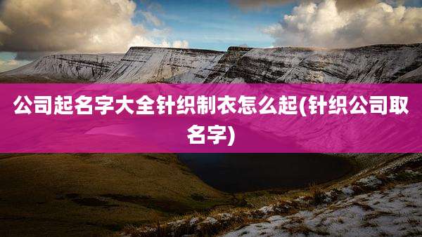 公司起名字大全针织制衣怎么起(针织公司取名字)