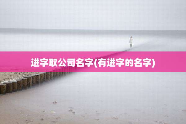 进字取公司名字(有进字的名字)