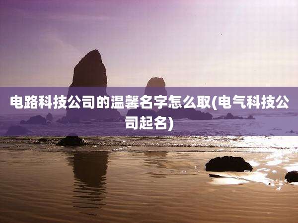 电路科技公司的温馨名字怎么取(电气科技公司起名)