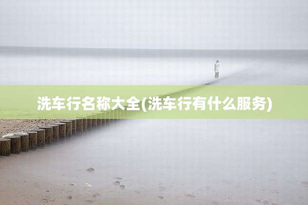 洗车行名称大全(洗车行有什么服务)