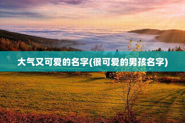 大气又可爱的名字(很可爱的男孩名字)