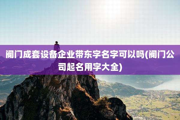 阀门成套设备企业带东字名字可以吗(阀门公司起名用字大全)