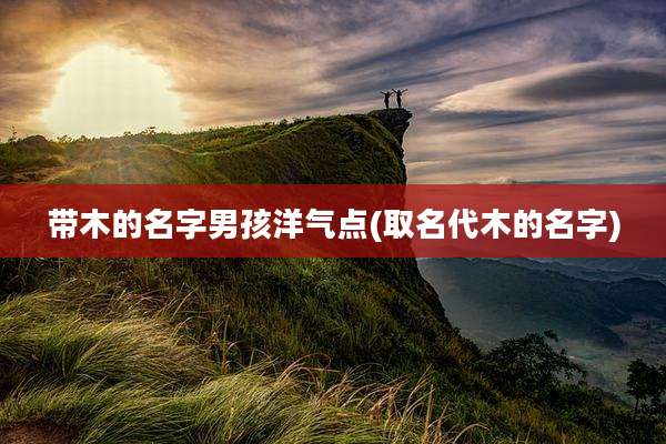 带木的名字男孩洋气点(取名代木的名字)
