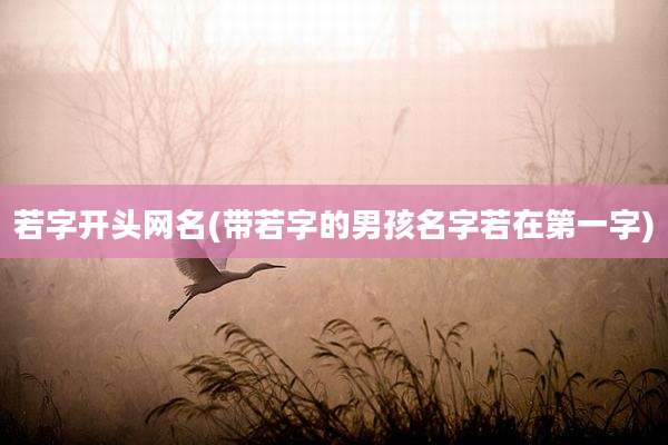 若字开头网名(带若字的男孩名字若在第一字)