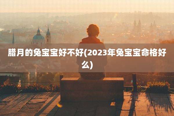 腊月的兔宝宝好不好(2023年兔宝宝命格好么)