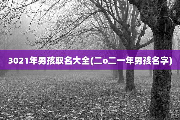3021年男孩取名大全(二o二一年男孩名字)