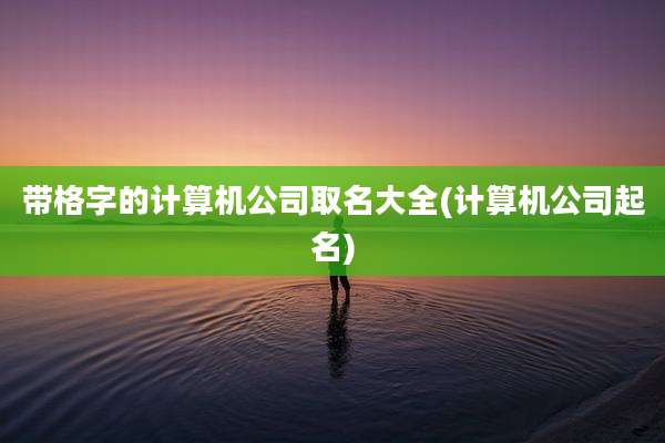 带格字的计算机公司取名大全(计算机公司起名)