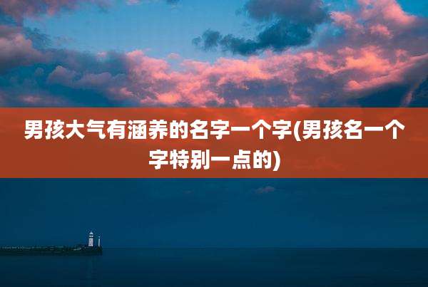 男孩大气有涵养的名字一个字(男孩名一个字特别一点的)