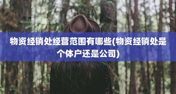物资经销处经营范围有哪些(物资经销处是个体户还是公司)