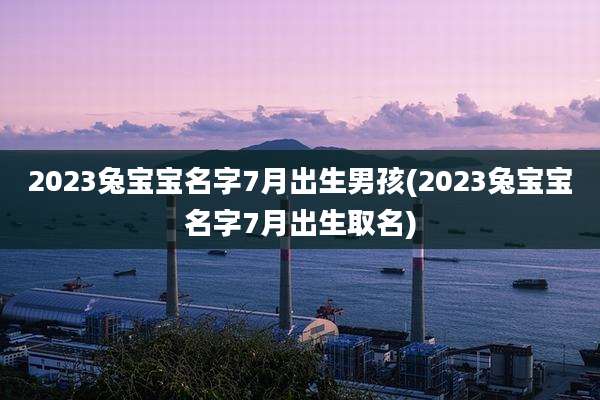 2023兔宝宝名字7月出生男孩(2023兔宝宝名字7月出生取名)