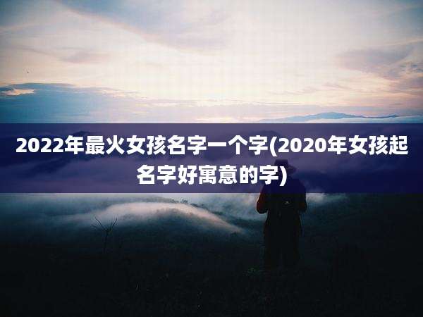 2022年最火女孩名字一个字(2020年女孩起名字好寓意的字)