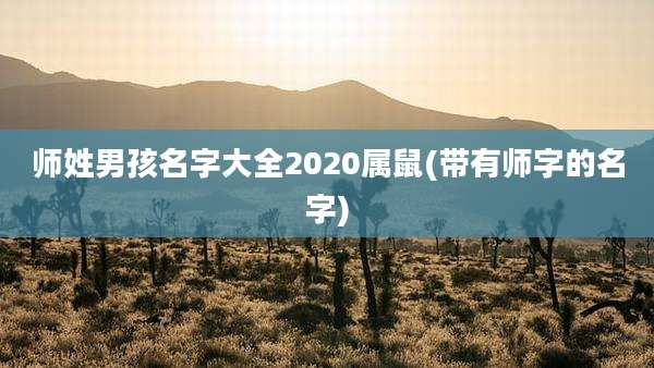 师姓男孩名字大全2020属鼠(带有师字的名字)