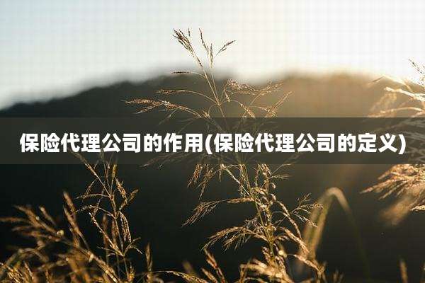 保险代理公司的作用(保险代理公司的定义)