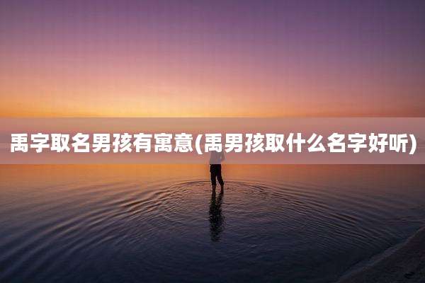 禹字取名男孩有寓意(禹男孩取什么名字好听)