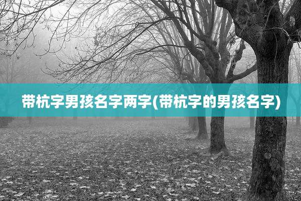 带杭字男孩名字两字(带杭字的男孩名字)