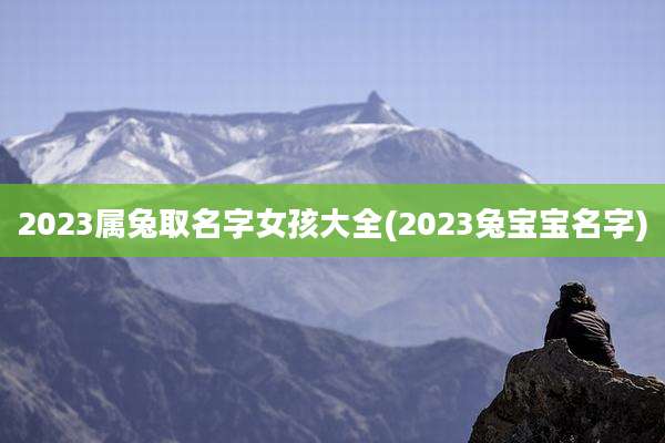 2023属兔取名字女孩大全(2023兔宝宝名字)