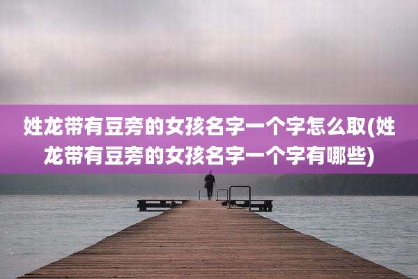 姓龙带有豆旁的女孩名字一个字怎么取(姓龙带有豆旁的女孩名字一个字有哪些)