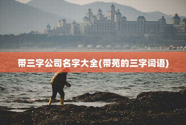 带三字公司名字大全(带苑的三字词语)