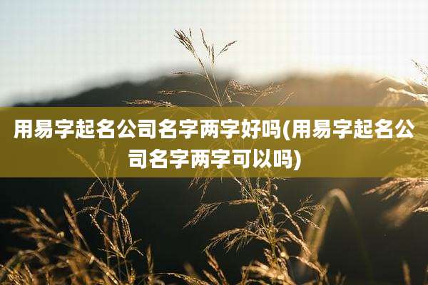 用易字起名公司名字两字好吗(用易字起名公司名字两字可以吗)